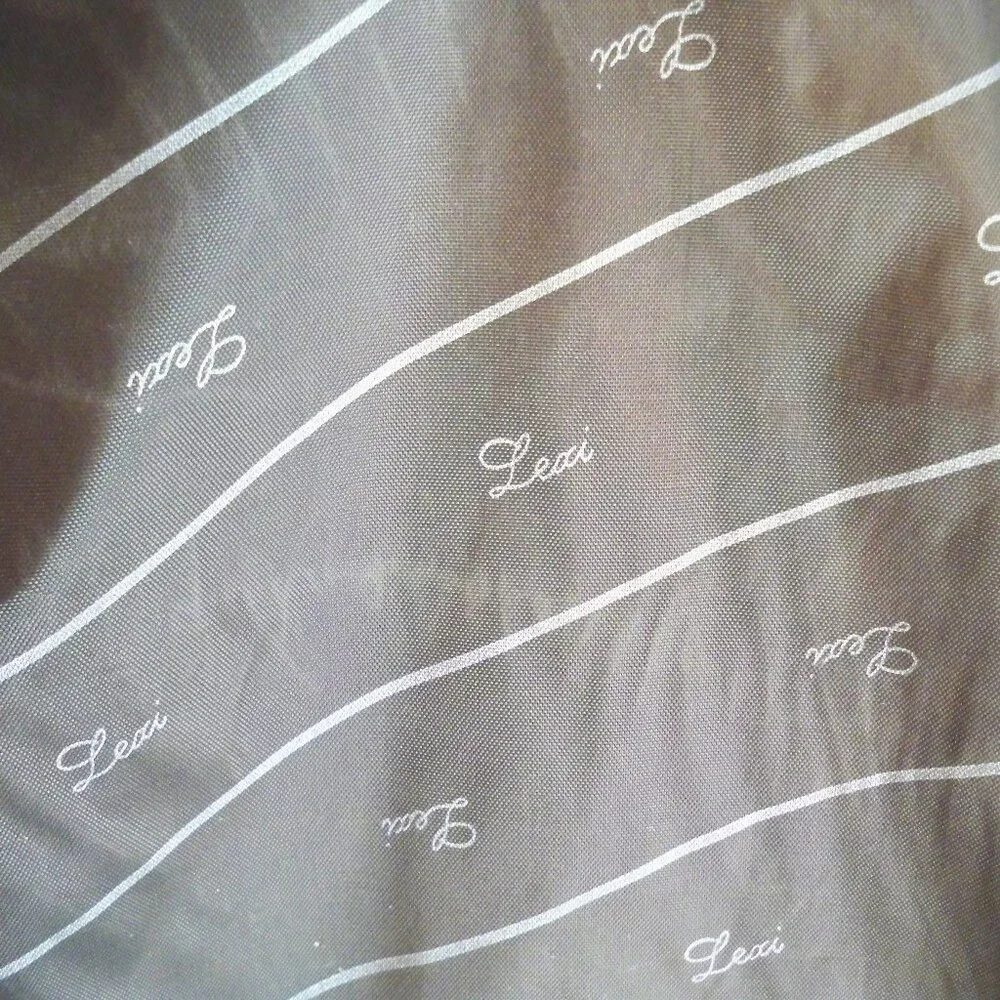 Garment Bag & 12 pocket closet Organizer